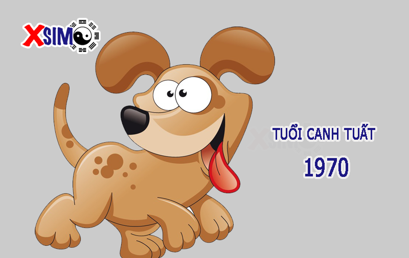 Tính cách và tài vận tuổi Canh Tuất 1970 năm 2019
