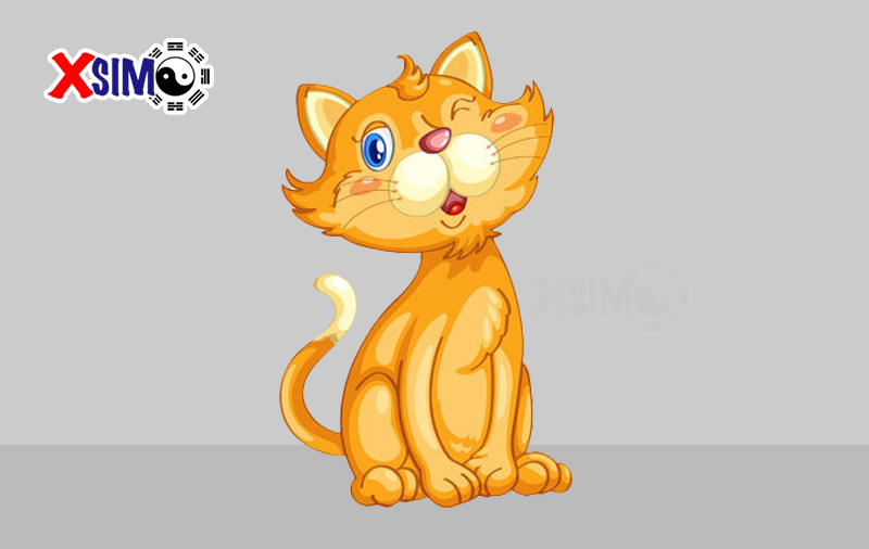 Tuổi Mão ưa thích các điều huyền diệu, kỳ lạ