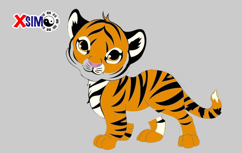 Tài vận tuổi Mậu Dần trong năm 2019