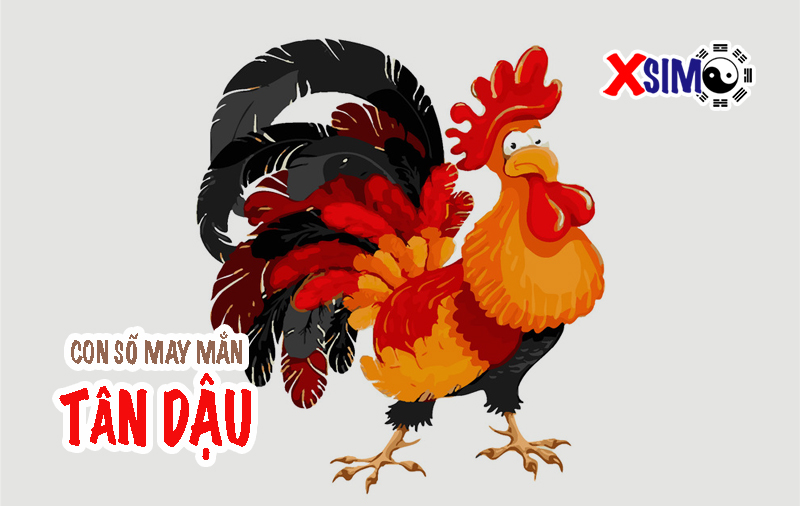 Người sinh năm 1981 (Tân Dậu) hợp với con số nào