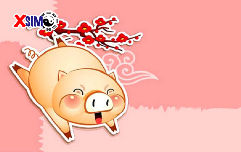 Phong thủy tuổi Tân Hợi